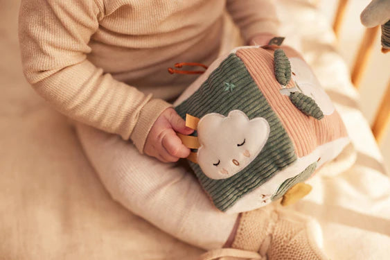 Activiteitenkubus - Lovely Birds