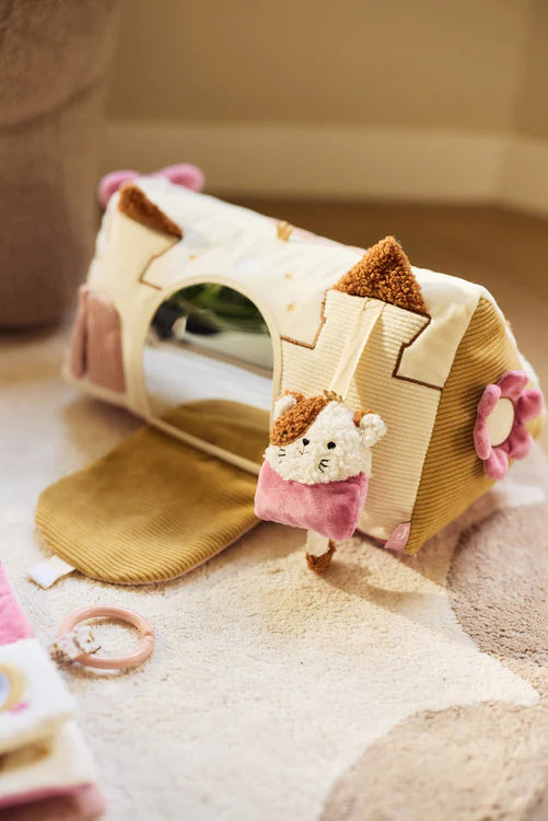 Activiteiten Driehoek - Flower Fairies