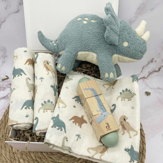 Kraamcadeau jongen Roarsome