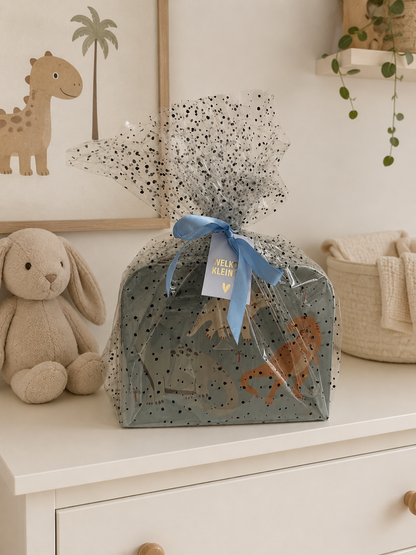 Kraamcadeau jongen Dino met gepersonaliseerd rompertje