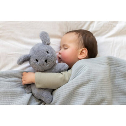 Knuffel Snuffie blauw