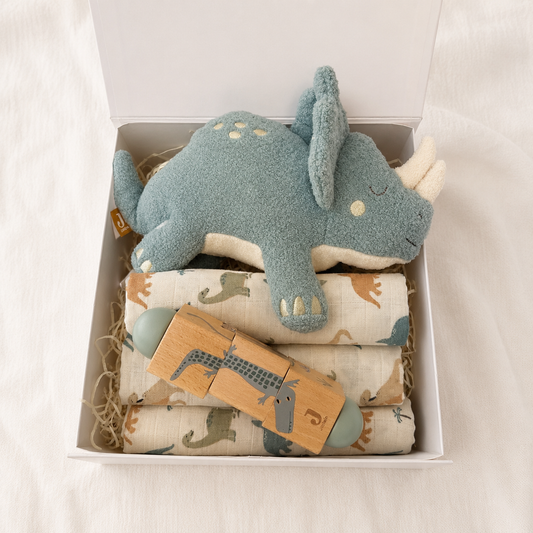 Kraamcadeau jongen Roarsome