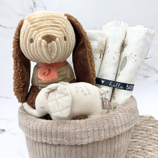 Kraamcadeau Diego met commodemandje